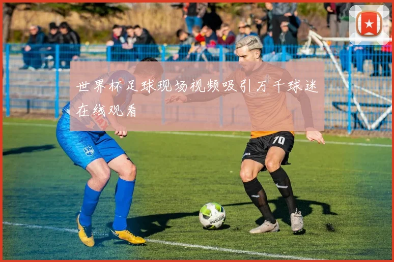 世界杯足球现场视频吸引万千球迷在线观看