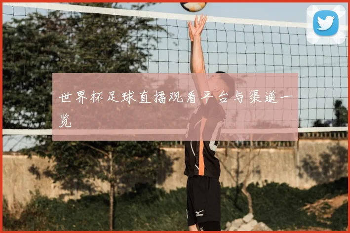 世界杯足球直播观看平台与渠道一览