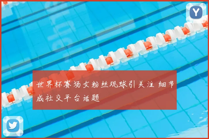 世界杯赛场女粉丝观球引关注 细节成社交平台话题