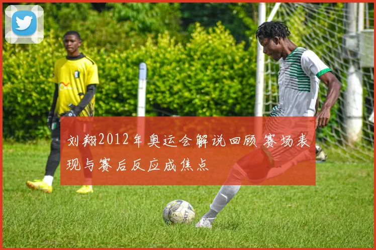 刘翔2012年奥运会解说回顾 赛场表现与赛后反应成焦点