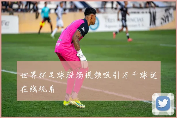 世界杯足球现场视频吸引万千球迷在线观看