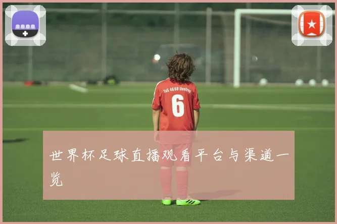 世界杯足球直播观看平台与渠道一览